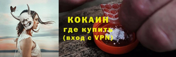 шишки Бородино