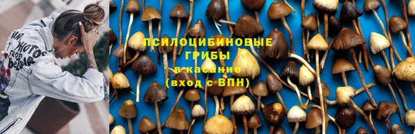 первитин Верхний Тагил