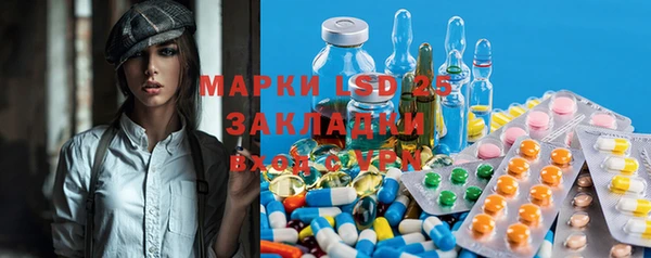 шишки Бородино