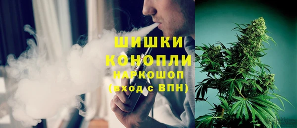 шишки Бородино