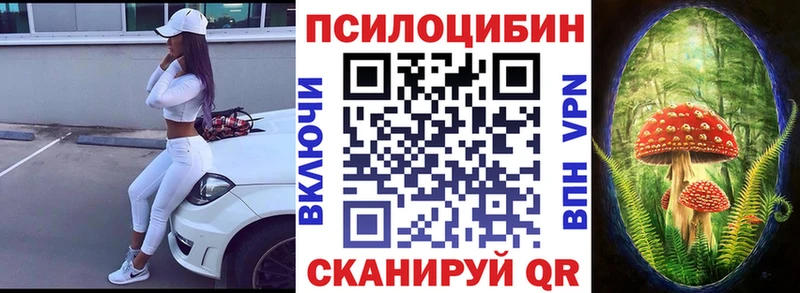 Купить закладки  Ворсма  Псилоцибиновые грибы прущие грибы 
